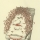 26